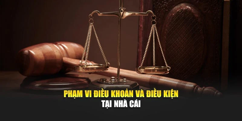 Phạm vi điều khoản và điều kiện tại nhà cái